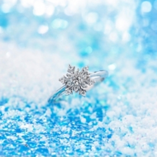 Snow Crystal　～雪の結晶～